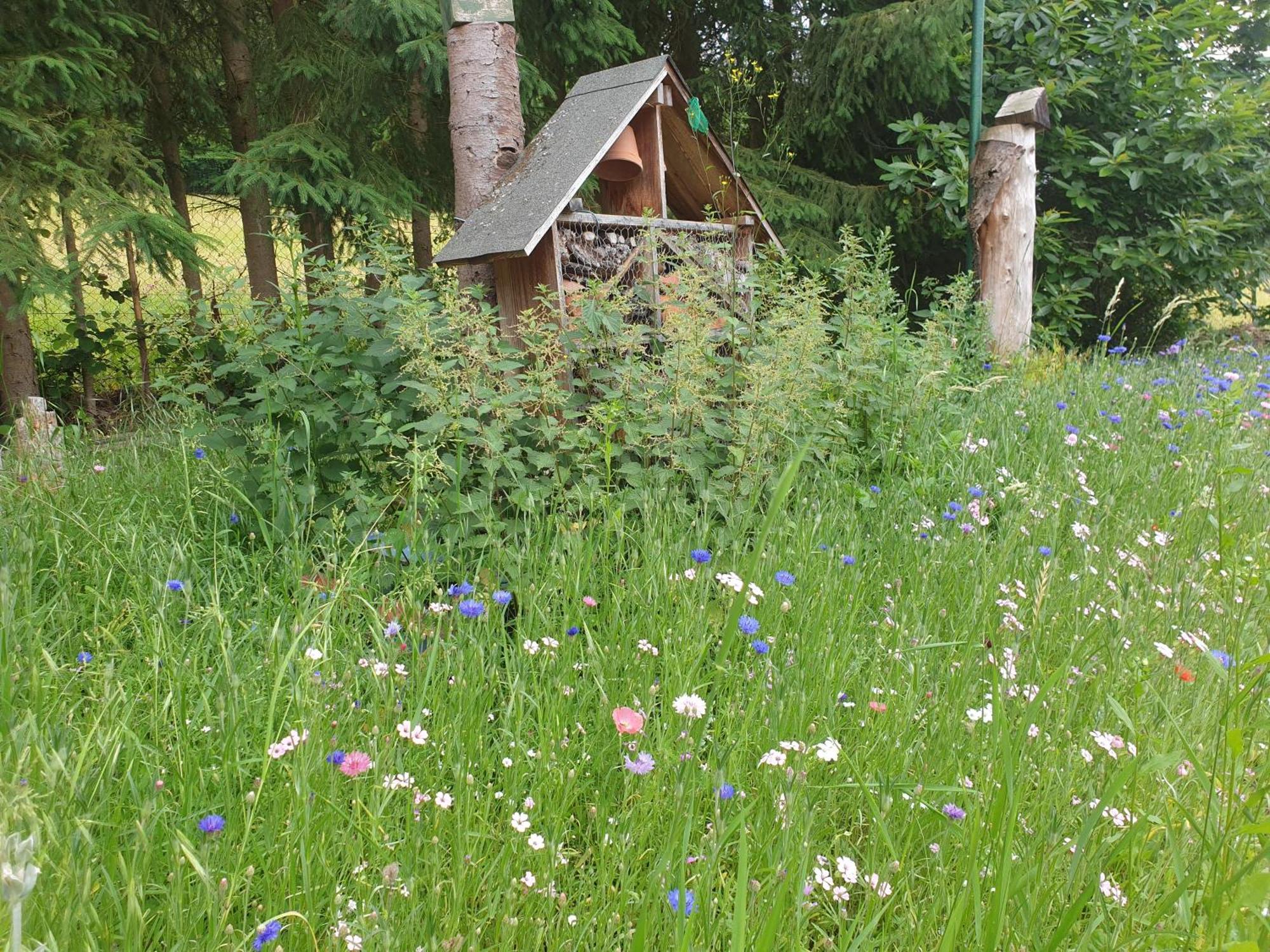 Le Wineck Villa Dambach Rom bilde