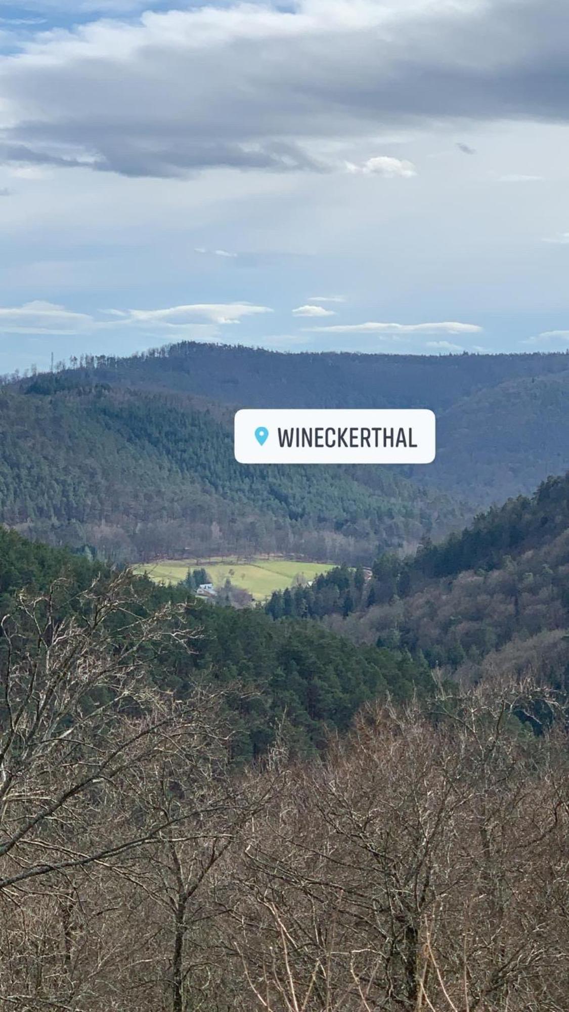 Le Wineck Villa Dambach Eksteriør bilde