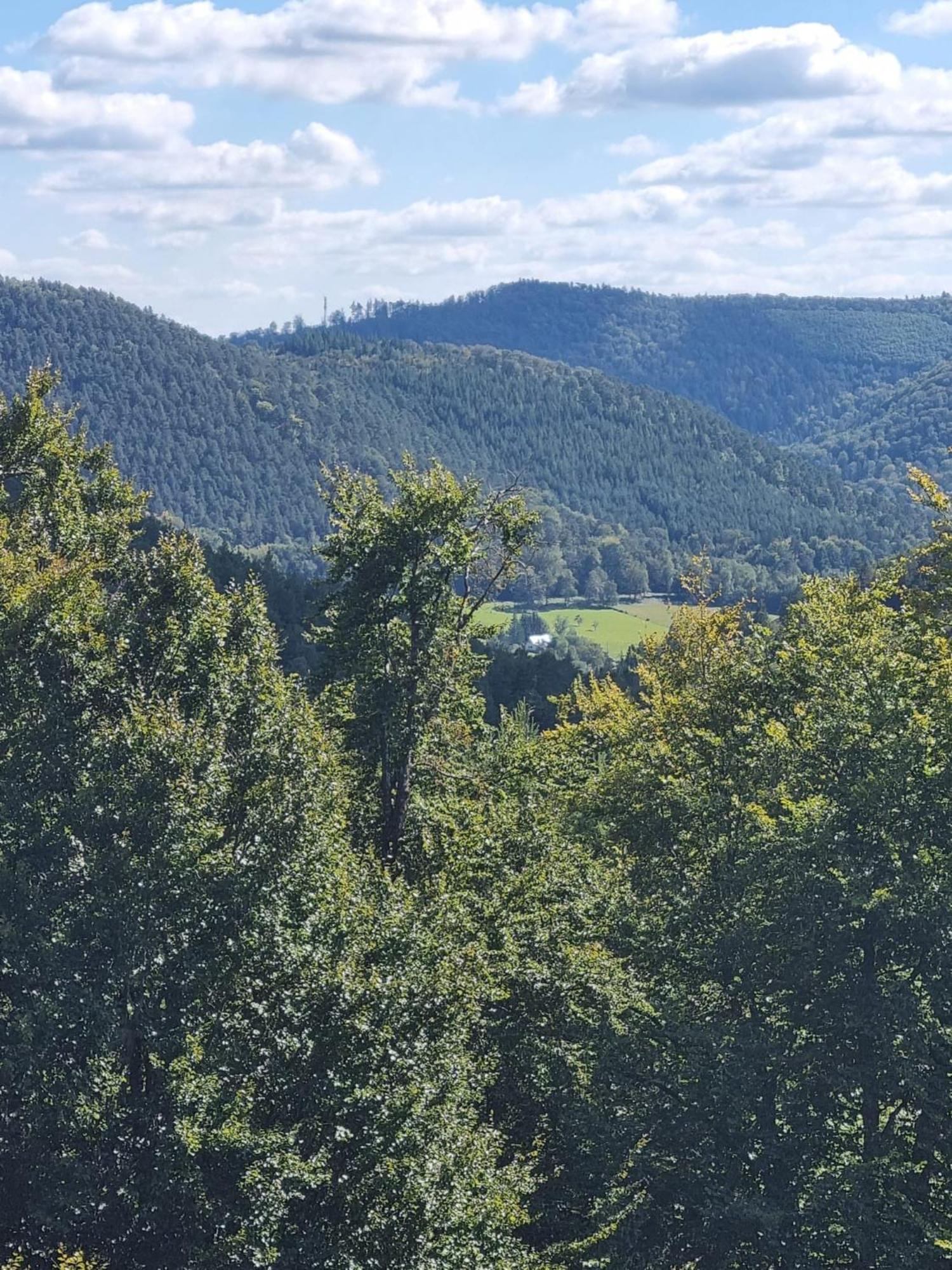 Le Wineck Villa Dambach Eksteriør bilde