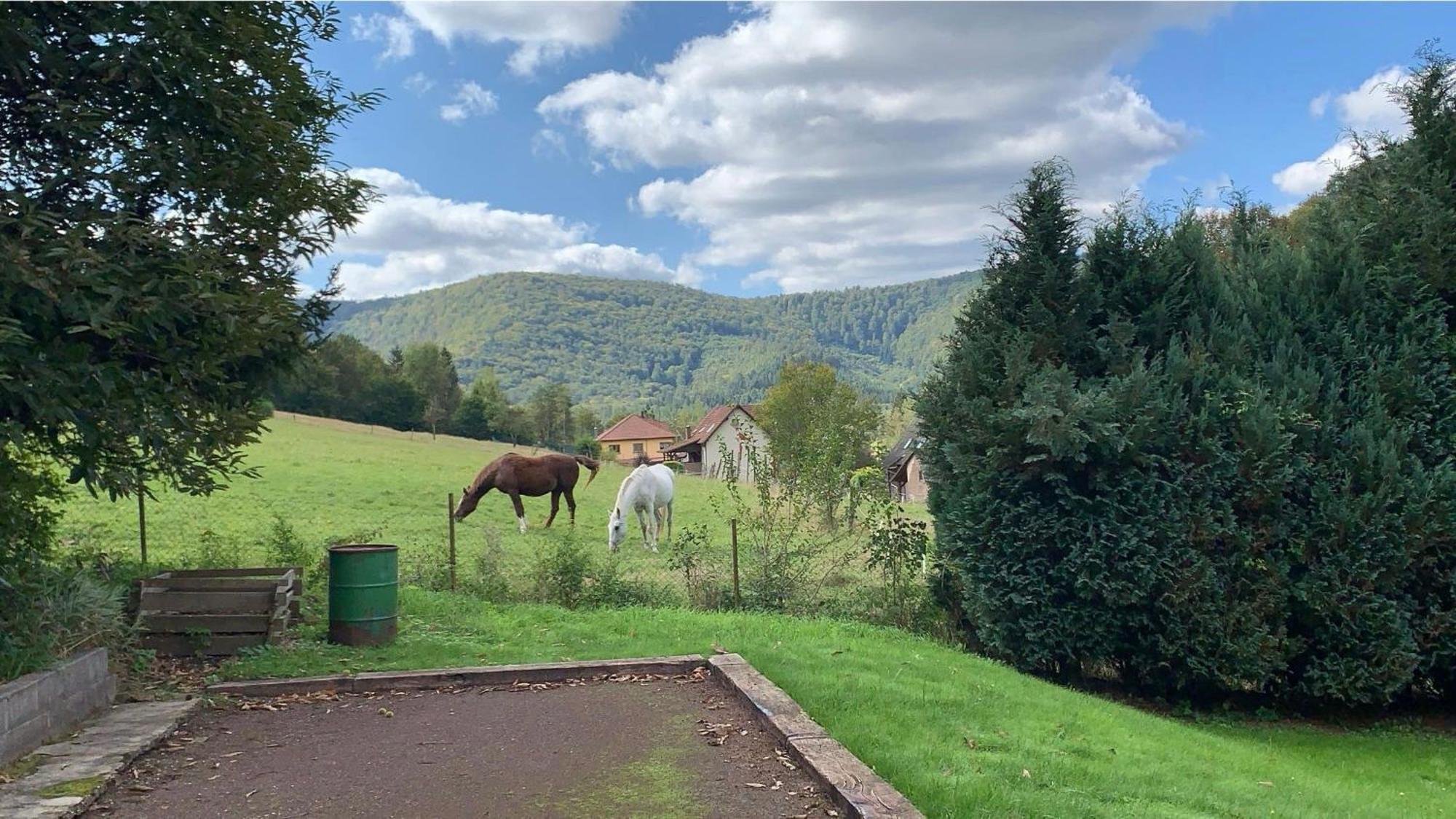 Le Wineck Villa Dambach Eksteriør bilde
